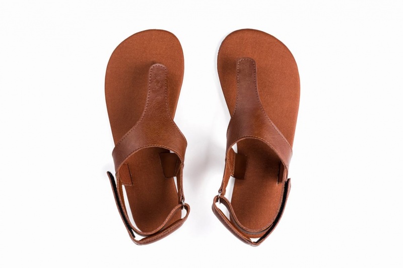 Dámské Sandály Ahinsa Simple Barefoot Hnědé | XYD8623HY